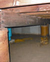 Mold and rot thriving in a dirt floor crawl space in Savannah